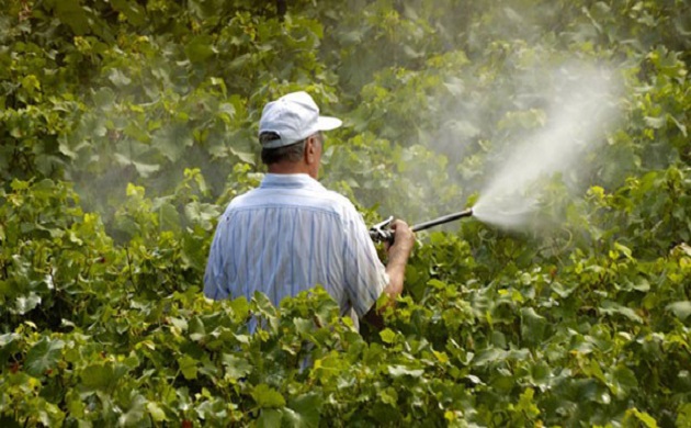 محاضرة هامة عن مبيدات الافات الزراعية 